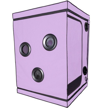 SECRET DOME - ESCÂNDALO ROXO DO CLUBE KINK