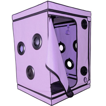 SECRET DOME - ESCÂNDALO ROXO DO CLUBE KINK