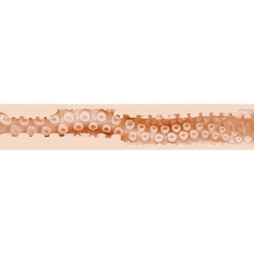 FLESHLIGHT FANTASIA - SASHA NAKAMOTO VAGINA