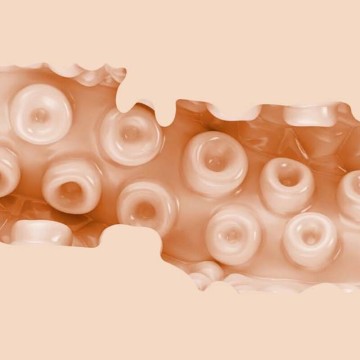 FLESHLIGHT FANTASIA - SASHA NAKAMOTO VAGINA